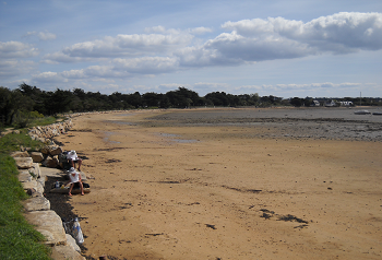 plage anse de locmiquel